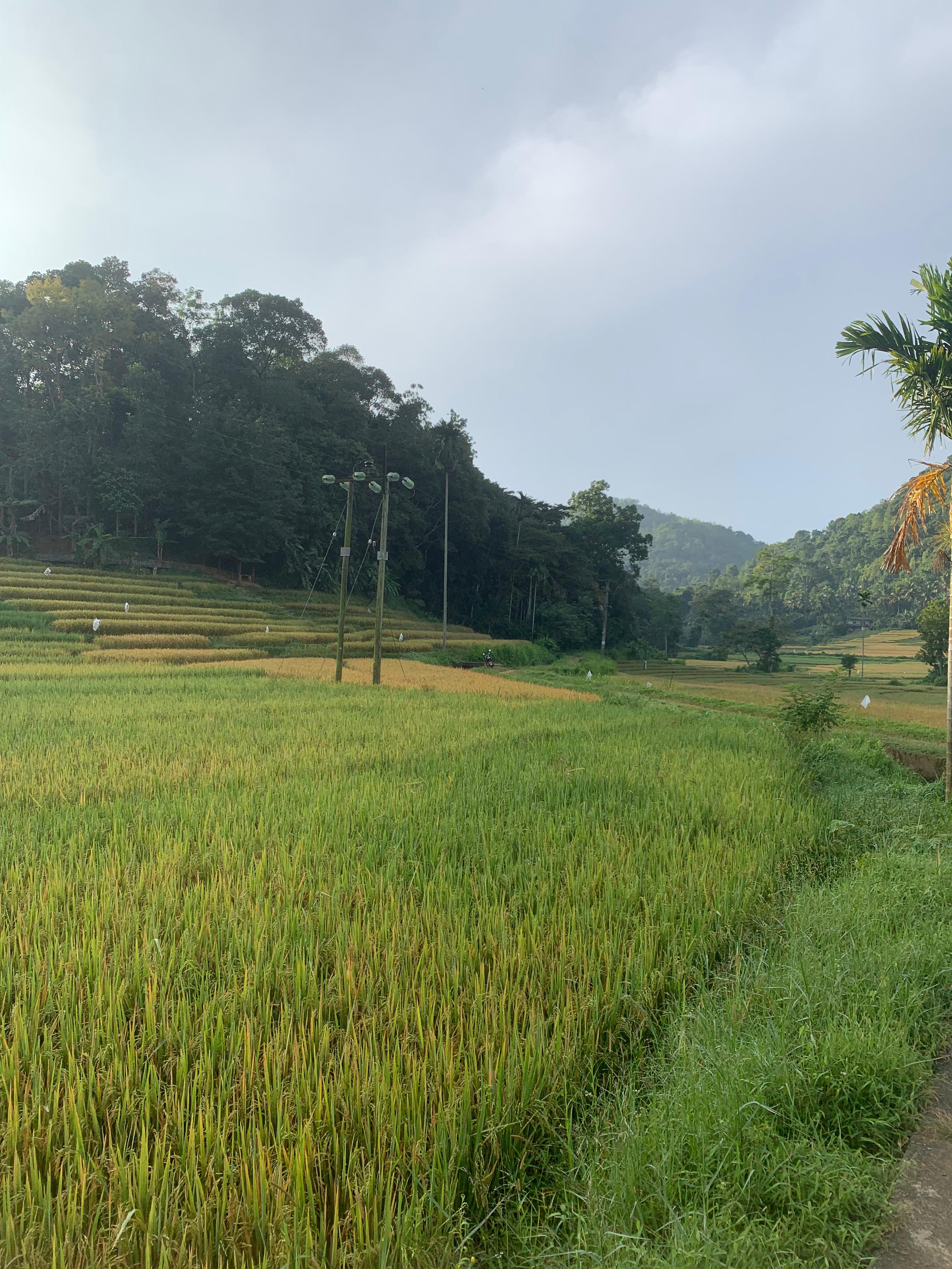 Nature & Wildlife Expedition